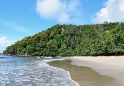 Plage et forêt de la biae d'Antongil