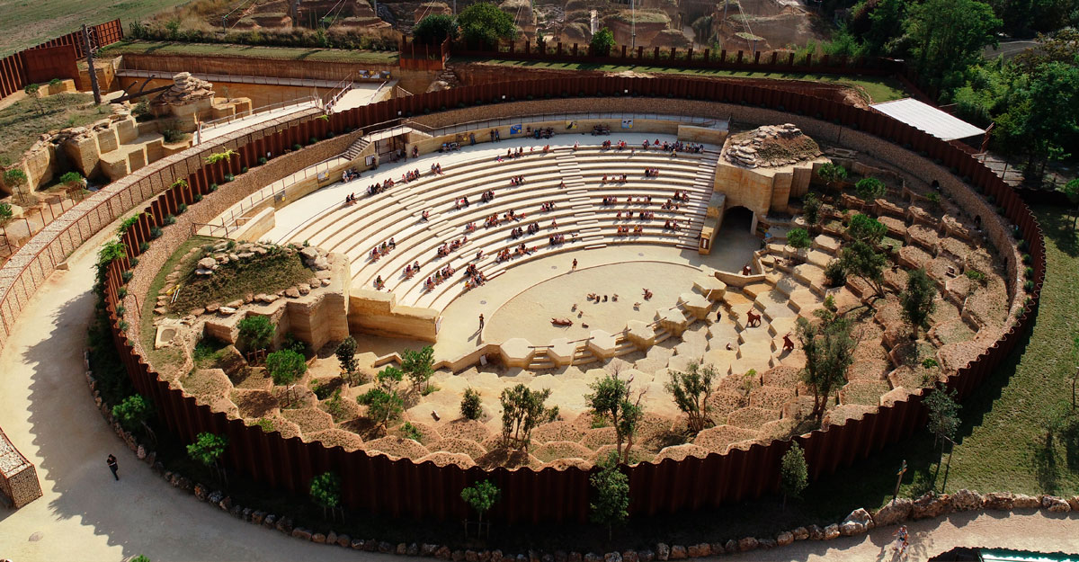 bioparc-parc-zoologique-amphitheatre-vautours
