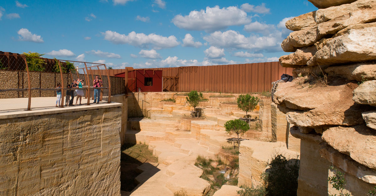 bioparc-parc-zoologique-parc-panthere-des-neiges