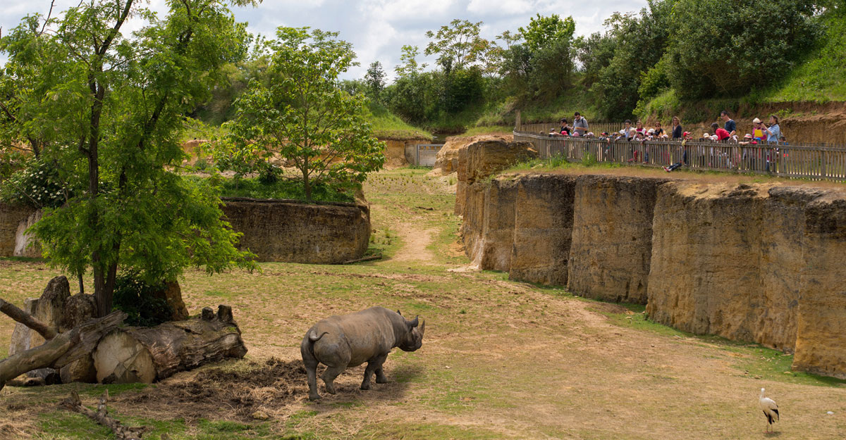 bioparc-parc-zoologique-vallee-des-rhinos
