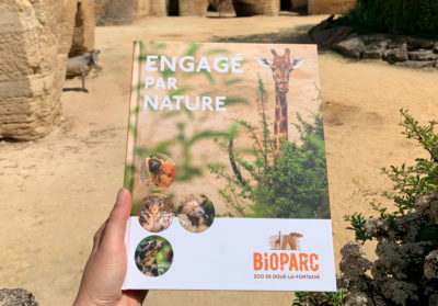 Couverture du livre sur fond de roche