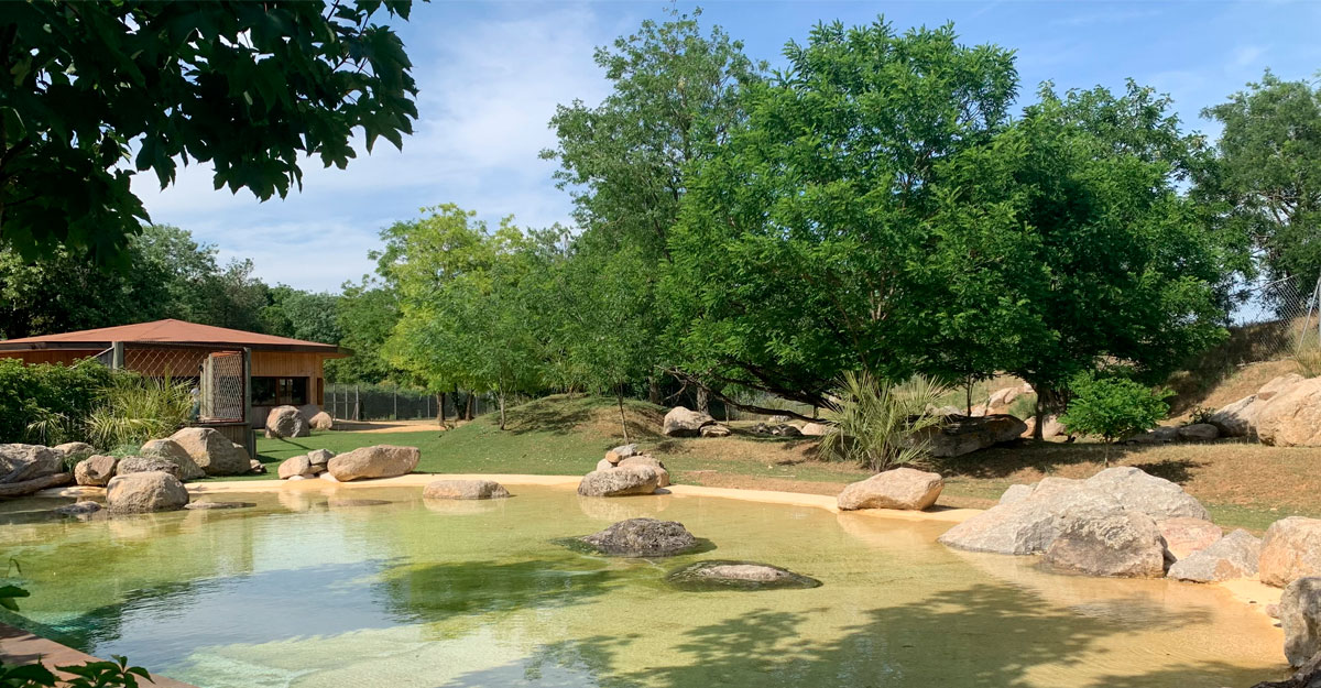 bioparc-parc-zoologique-parc-tortues-seychelles Parc et bassin extérieur des tortues