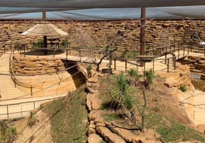 Vue sur la volière africaine