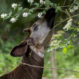 Image - Nos actions pour la nature
