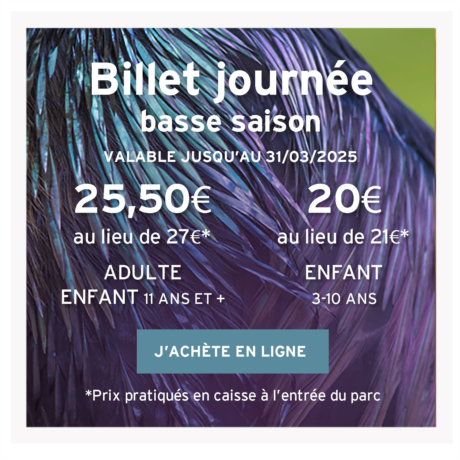 Billets basse saison 2025