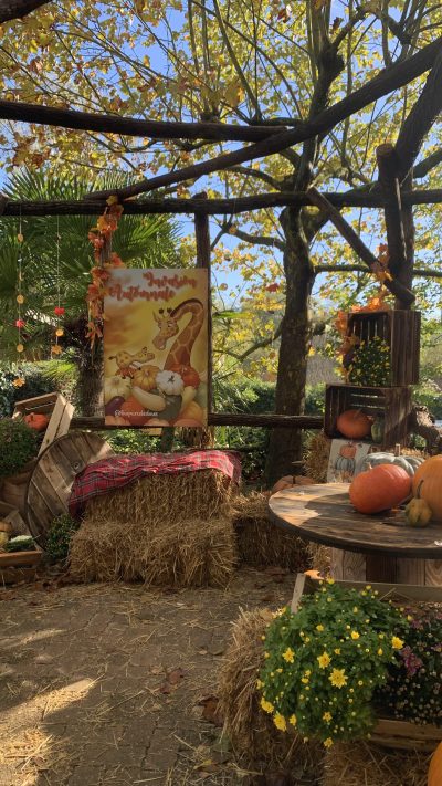 Invasion automnale 2025